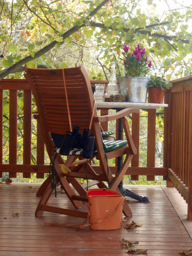Casa Sull'Albero Aromantica San Salvatore Monferrato Kamer foto