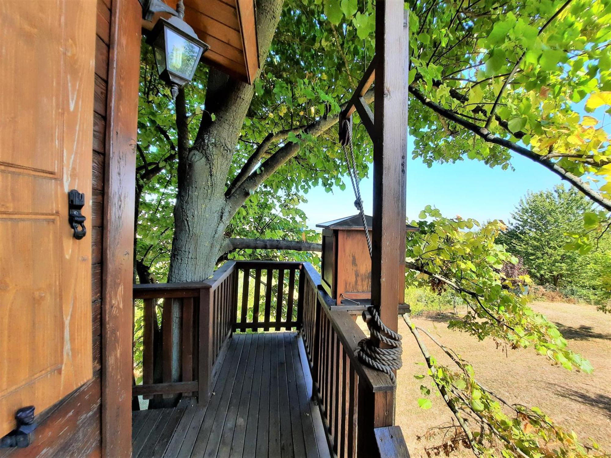 Casa Sull'Albero Aromantica San Salvatore Monferrato Buitenkant foto